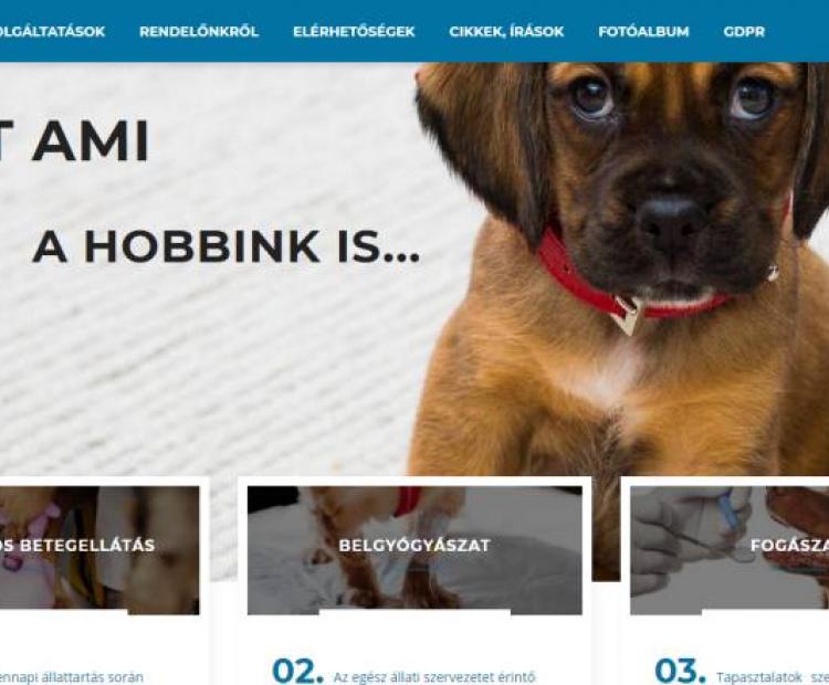 A Mozaik állatorvosi rendelő